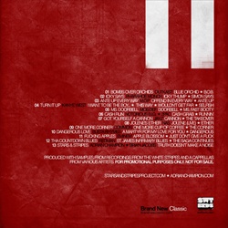 Adrian Champion Stars&Stripes 'The White Stripes Reimagined' Back Cover