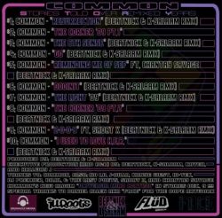 Beatnick & K-Salaam Common - S.T.O.R.Y. Back Cover