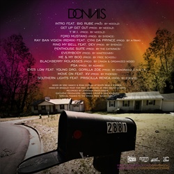 Donnis Southern Lights Back Cover