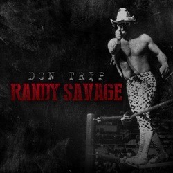 Randy Savage Thumbnail