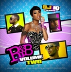 DJ IQ R&B Vol. 2