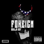 Soulja Boy Foreign