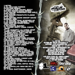 DJ Step One Damage Is Done Back Cover